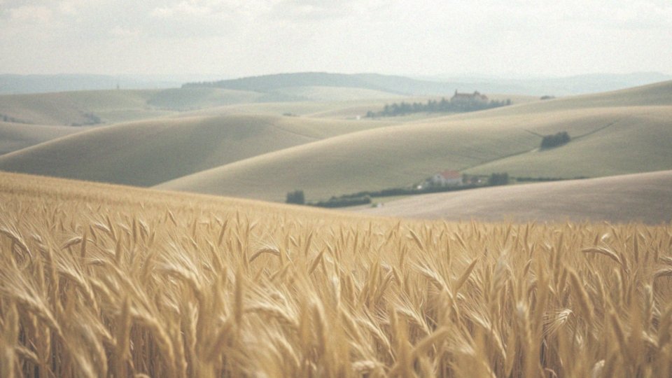 Jakie są różnice w populacji między Słowacją a Słowenią?
