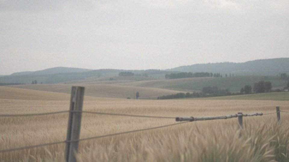 Co może boleć od kręgosłupa? Objawy i przyczyny dolnych pleców